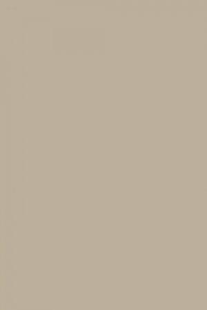 FARROW AND BALL LIGHT GRAY NO. 17 PAINT